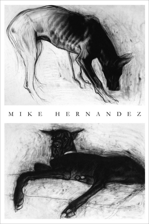 Mike Hernandez Solo Exhibition