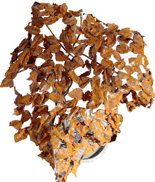 Fall Tree, Jason Houchen