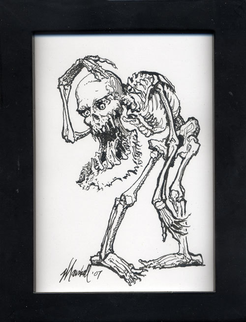 Skeleton, Marshall Vandruff