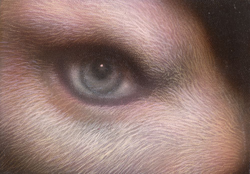 Eye 1, Michael Brown Eye 1, Michael Brown