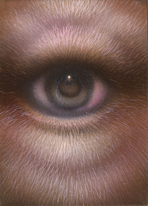 Eye 2, Michael Brown Eye 2, Michael Brown