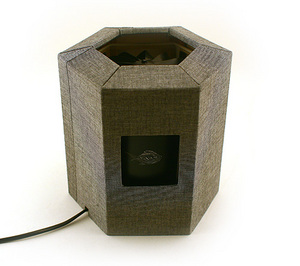 Evolutio Ad Absurdum (Laterna), Andrea Offermann Evolutio Ad Absurdum (Laterna), Andrea Offermann