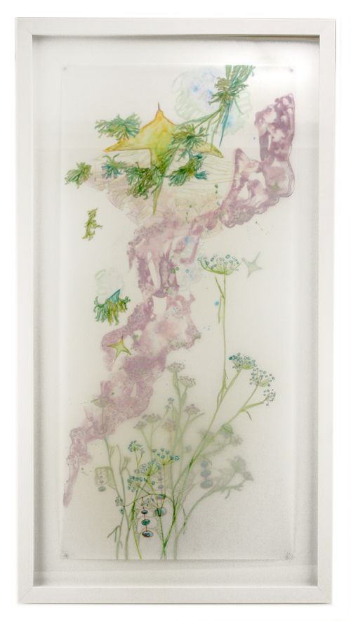 Lichen & Fennel, Christine Nguyen Lichen & Fennel, Christine Nguyen