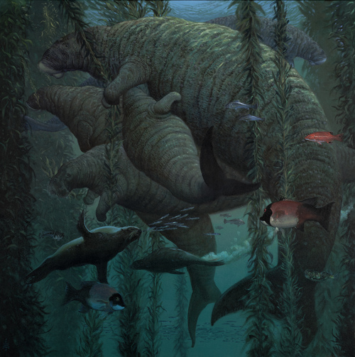 Serene Sirenians: Quarter Scale painting (Giant Sea Cows), William Stout Serene Sirenians: Quarter Scale painting (Giant Sea Cows), William Stout