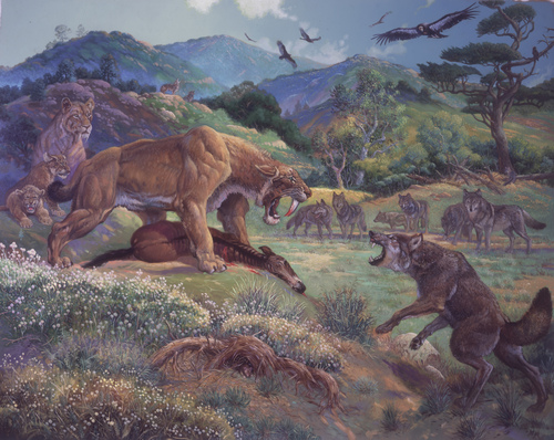 Standoff: Quarter Scale painting (Sabertooths vs. Dire Wolves), William Stout Standoff: Quarter Scale painting (Sabertooths vs. Dire Wolves), William Stout