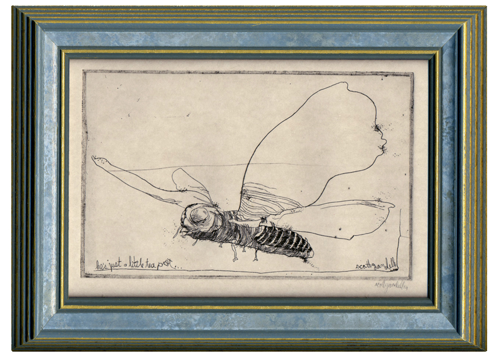 Moth, Scott Gandell Moth, Scott Gandell