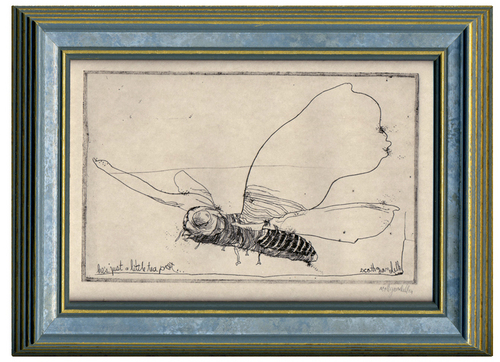 Moth, Scott Gandell