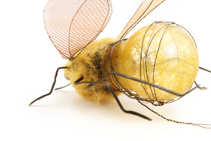 Bee, Maria Rendon