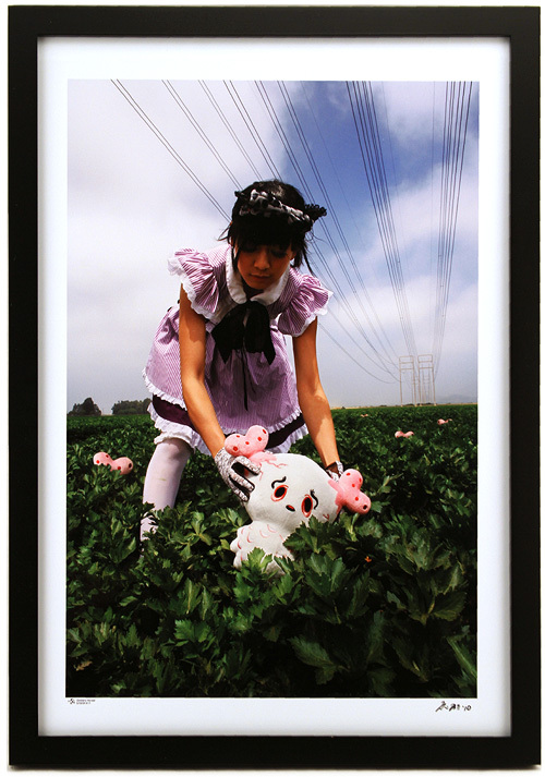 Gooberry Harvest, Brian McCarty Gooberry Harvest, Brian McCarty