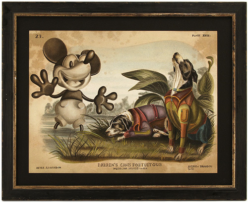 Darren's Canis Fortuitus, Andrew Brandou Darren's Canis Fortuitus, Andrew Brandou
