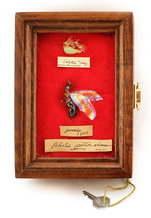 Polistes Coactor Animus Diorama, Nagisa Polistes Coactor Animus Diorama, Nagisa