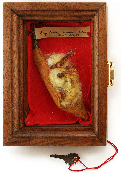 Erythrina Corpus Veritas Diorama, Nagisa Erythrina Corpus Veritas Diorama, Nagisa