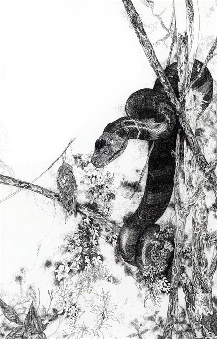 The Snake, SoYoun Lee