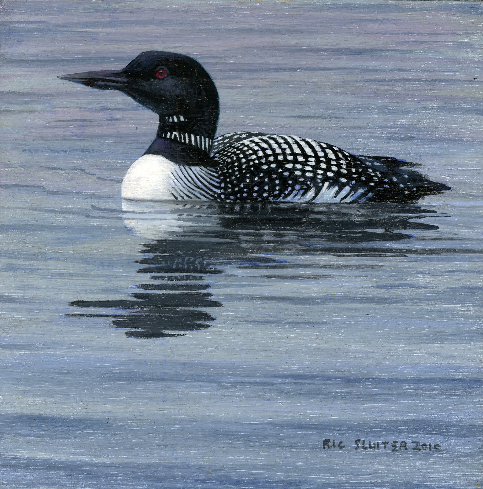 Canadian Loon - Nucleus | Art Gallery and Store