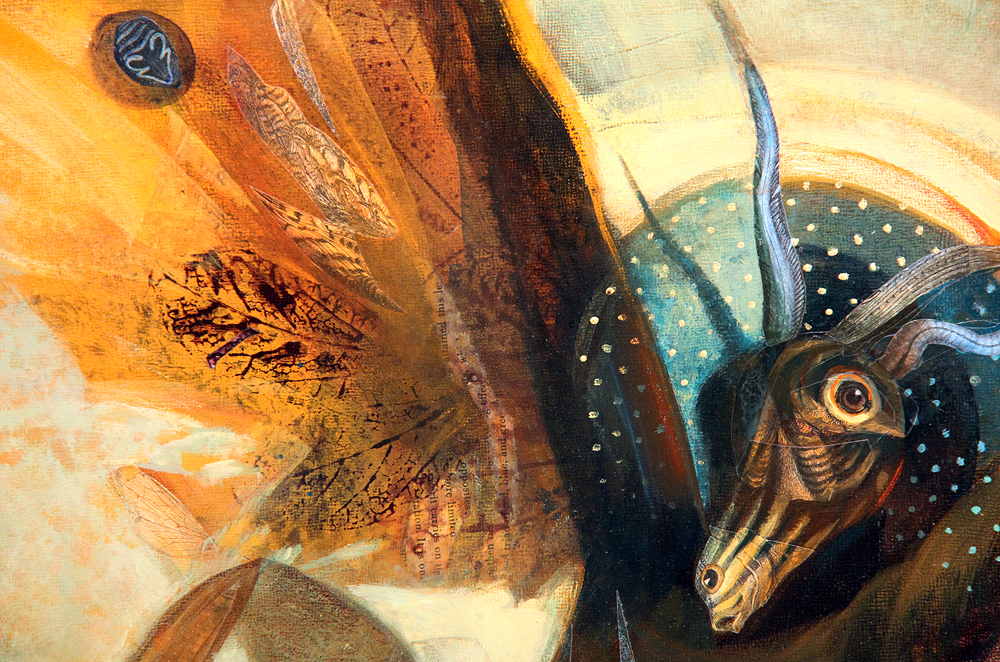 Insectus - Nucleus | Art Gallery and Store