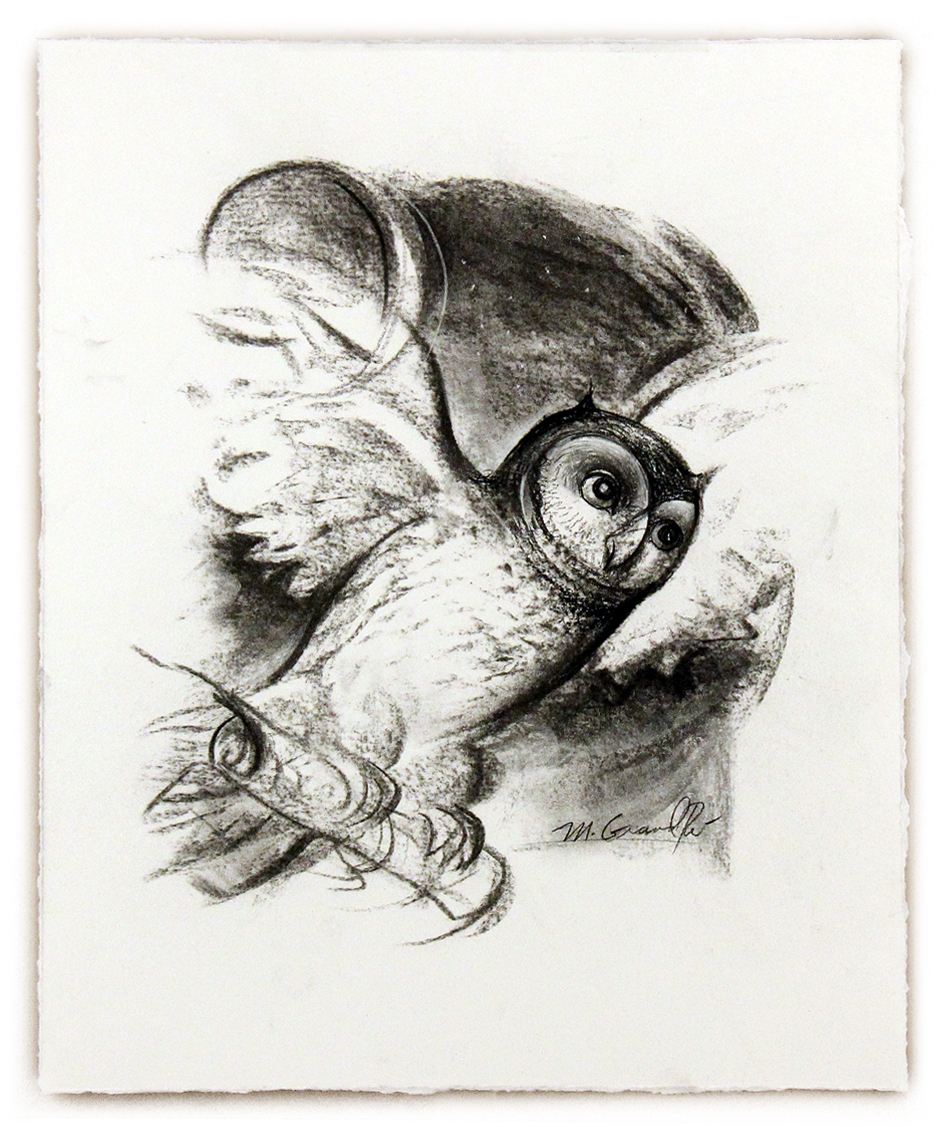 Owl Sketch, Mary Grandpré Owl Sketch, Mary Grandpré