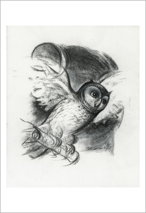 Owl Sketch, Mary  Grandpré