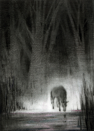 Dark Horse, Junyi Wu
