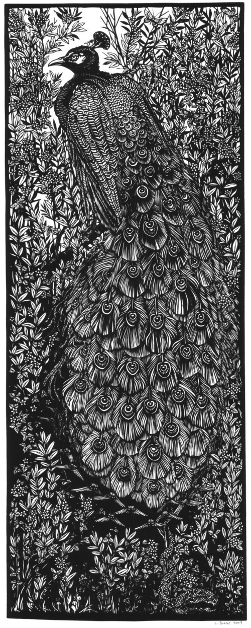 Gatekeeper, Lucrezia Bieler Gatekeeper, Lucrezia Bieler