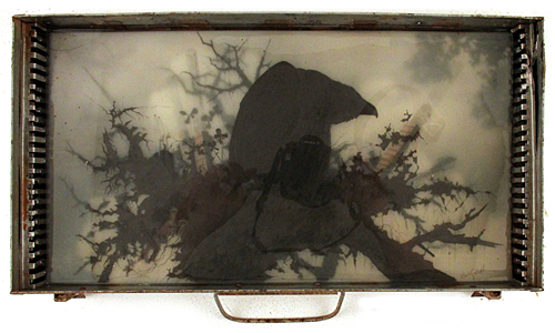 Nest I, Brooks Salzwedel Nest I, Brooks Salzwedel