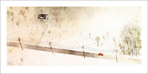 House Held Up By Trees - Page 19-20 (For Sale), Jon Klassen