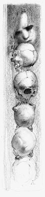 Stacking Skulls, Victoria Williams Stacking Skulls, Victoria Williams