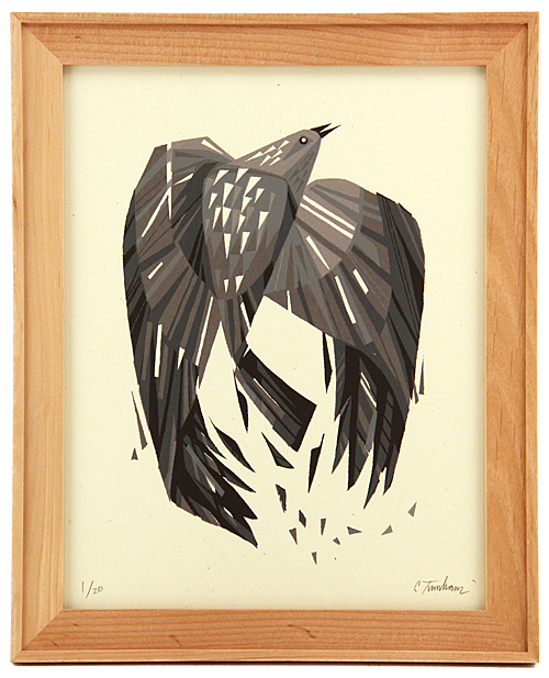 Blackbird, Chris Turnham Blackbird, Chris Turnham
