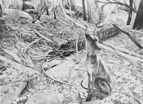 Untitled 5 (Andrew Hem drawing/book), Untitled 5 (Andrew Hem drawing/book),