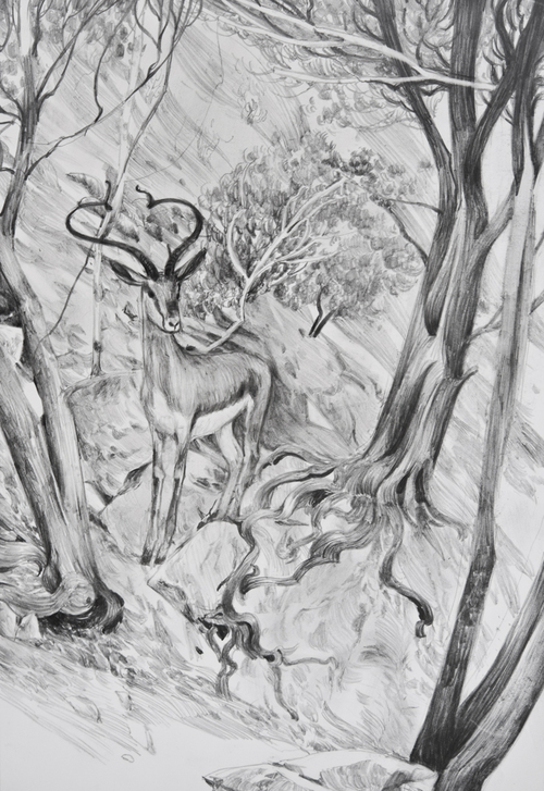 Untitled 15 (Andrew Hem drawing/book), Untitled 15 (Andrew Hem drawing/book),