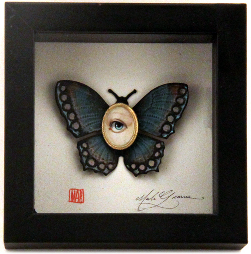 Cabinet of Curiosities Specimen no. 24 - The Blue Moth Eye Fly, Mab Graves