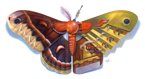 Cecropia Bot, Primary Hughes Cecropia Bot, Primary Hughes