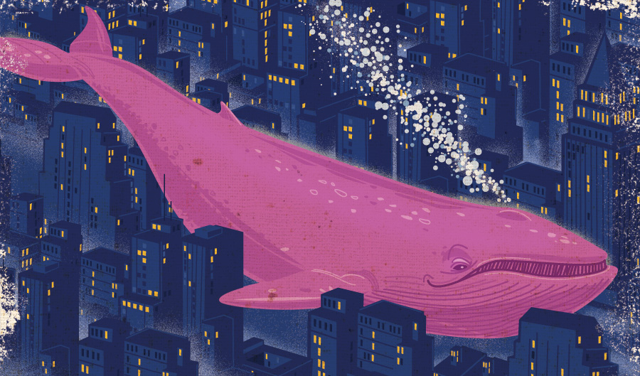 Whale In The City, Thomas Burns