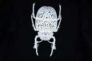 Coleoptera Filigre, Joshua Harker