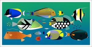 Fish Layout (les poissons), Theo Guignard