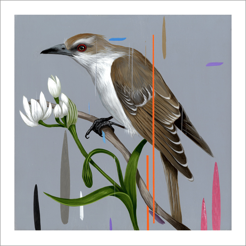 Black Billed Cuckoo - Nucleus | Art Gallery and Store
