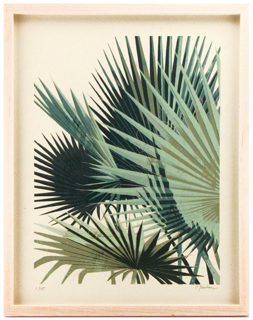 Palm Plant 1, Chris Turnham