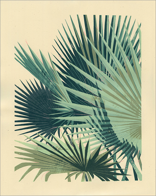 Palm Plant 2, Chris Turnham