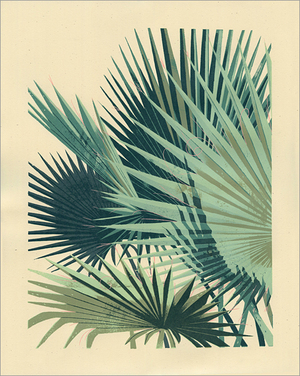 Palm Plant 2, Chris Turnham Palm Plant 2, Chris Turnham