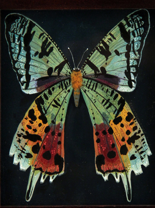 Rainbow Moth - Nucleus | Art Gallery and Store
