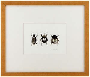 Love Bugs, Chris Sasaki