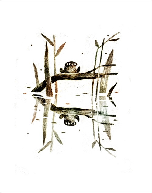 Ponder & Reflect Frog, Jon Klassen