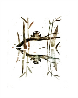 Ponder & Reflect Frog (PRINT), Jon Klassen