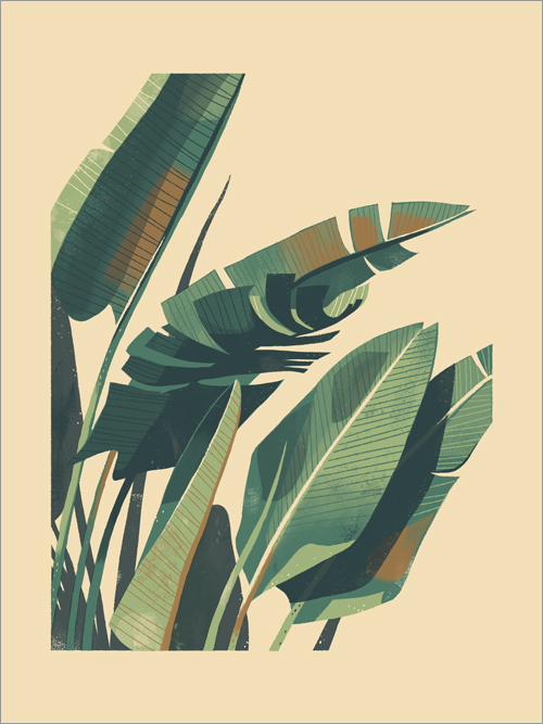 Palm Plant 1 Large Format, Chris Turnham