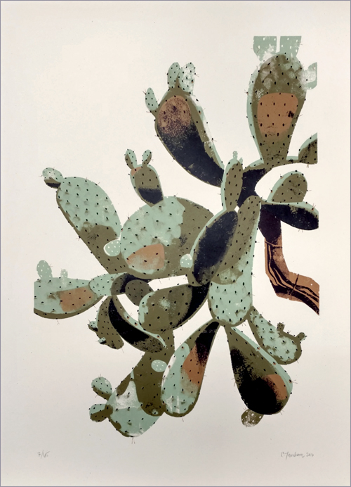 Prickly Pear Cactus (unframed print), Chris Turnham