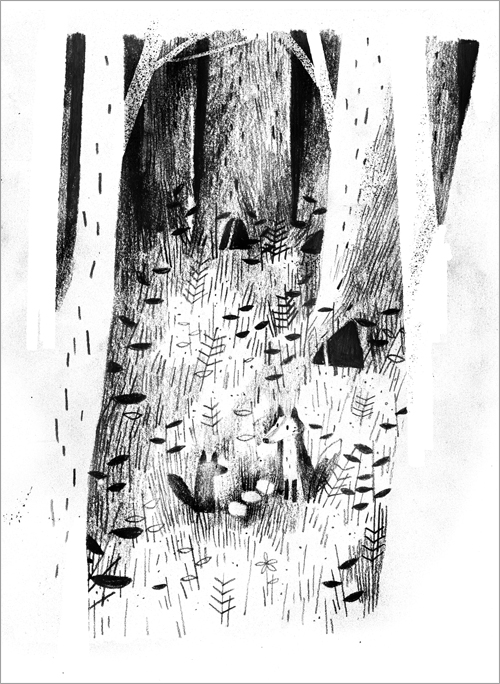 PAX - Forest (print), Jon Klassen
