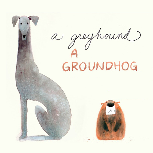 Greyhound Groundhog Signing