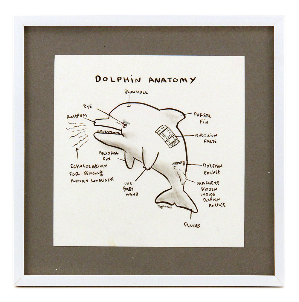 Dolphin Anatomy, Megan Nicole Dong Dolphin Anatomy, Megan Nicole Dong