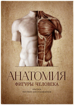 Anatomy of Human Figure: The Guide for Artists Anatomy of Human Figure: The Guide for Artists