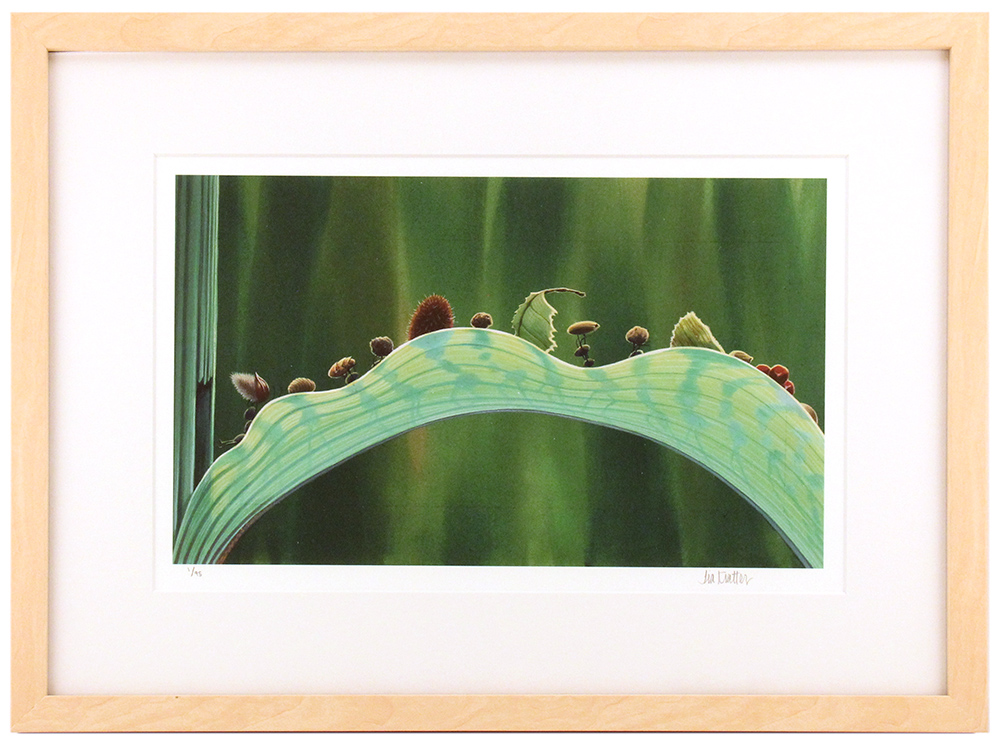 The Leaf Bridge by Tia Kratter (A Bug's Life) - Framed, 1st Edition The Leaf Bridge by Tia Kratter (A Bug's Life) - Framed, 1st Edition