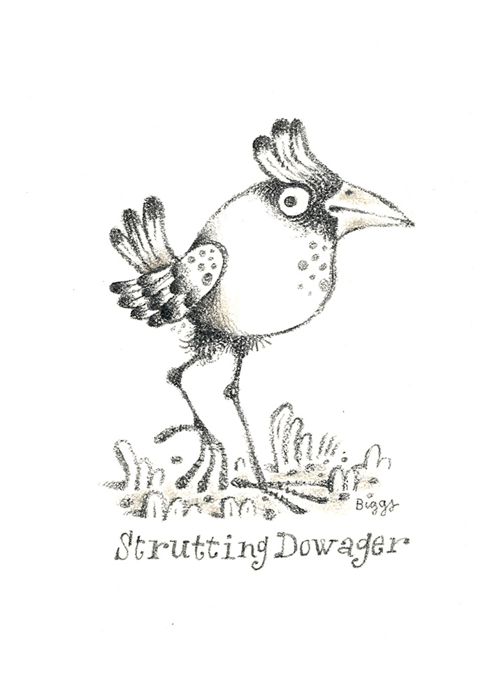 Imaginary Ornithology: Strutting Dowager, Brian Biggs